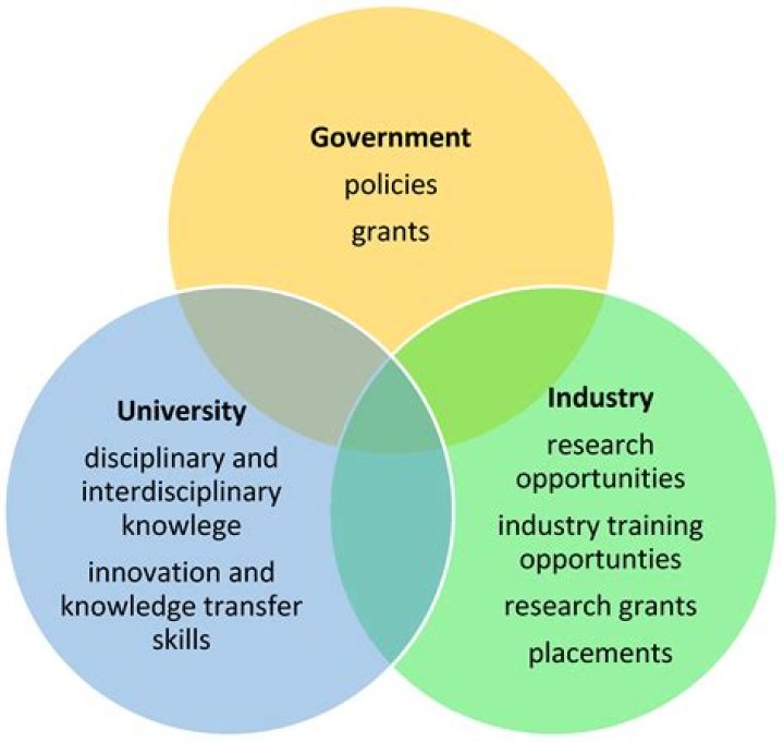 A Cardinals' Nest Of Innovation And Excitement