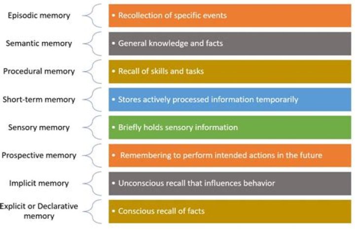 Explorations Of Memory, Loss, And The Human Experience