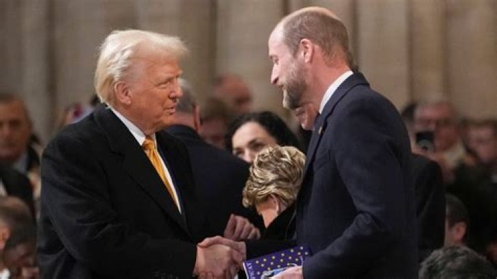 Putin's Real Height And Its Untold Significance